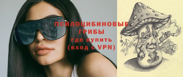 дурь Михайловск