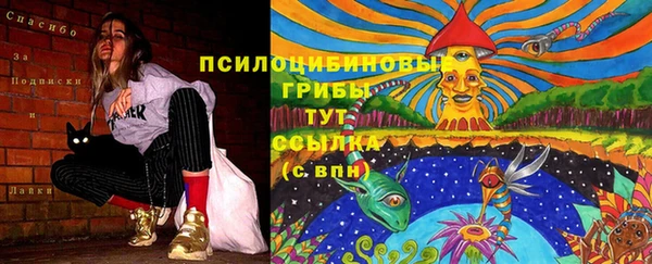 дурь Михайловск