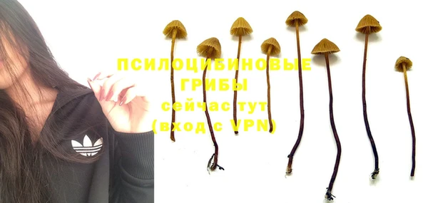 марихуана Михайлов