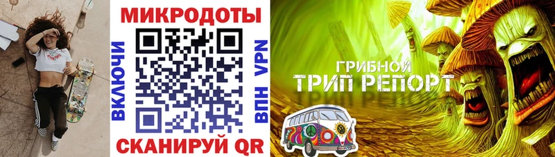 где купить   Пудож  Галлюциногенные грибы прущие грибы 
